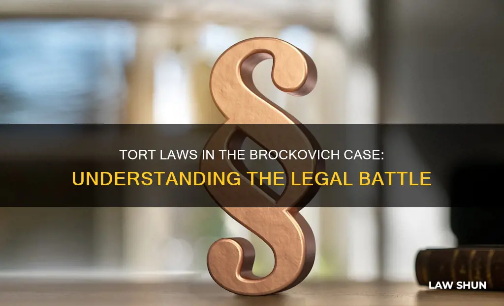what tort laws were in the brockovich case