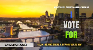 Travis County Court of Law Voting Guide: Which One is Yours?