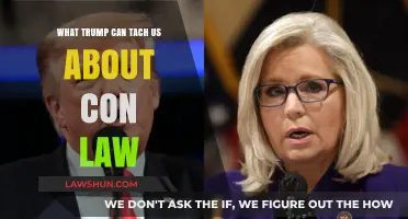 Trump's Con Law Legacy: Lessons Learned