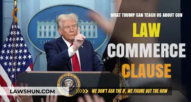 Trump's Commerce Clause Con Law Lessons