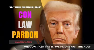 Trump's Con Law Legacy: Pardons and Their Limits