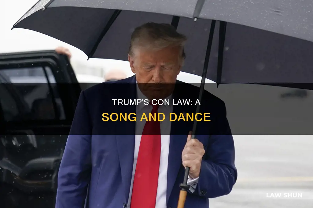 what trump can teach us about con law theme song