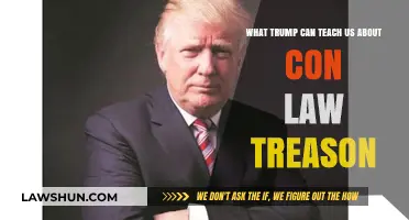 Trump's Treasonous Lessons on Con Law