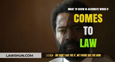 Legal Realism on Screen: Which TV Show Gets the Law Right?