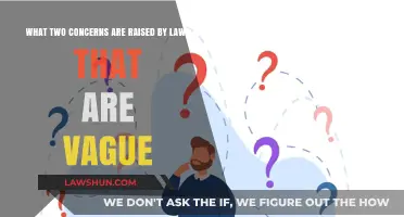 Vague Laws: Ambiguity and Uncertainty in Legal Systems