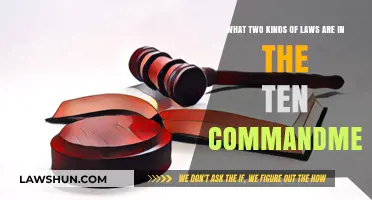 Understanding the Ten Commandments: Moral and Ritual Laws Explained