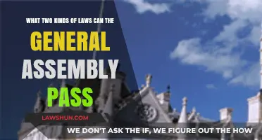 General Assembly's Power: Two Types of Laws