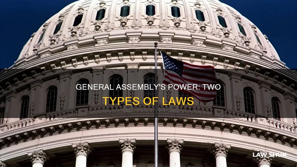 what two kinds of laws can the general assembly pass
