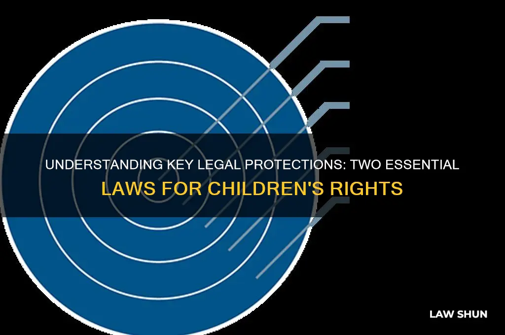 Understanding Key Legal Protections: Two Essential Laws For Children's ...