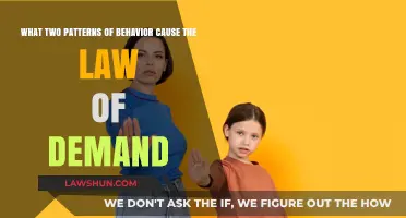 Understanding Demand: Two Key Behavioral Patterns Driving the Law of Demand
