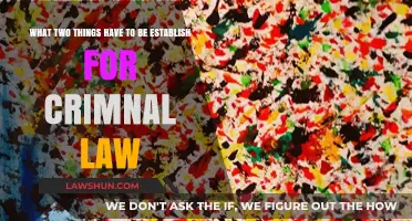 Establishing Criminal Liability: Two Key Elements Every Case Must Prove