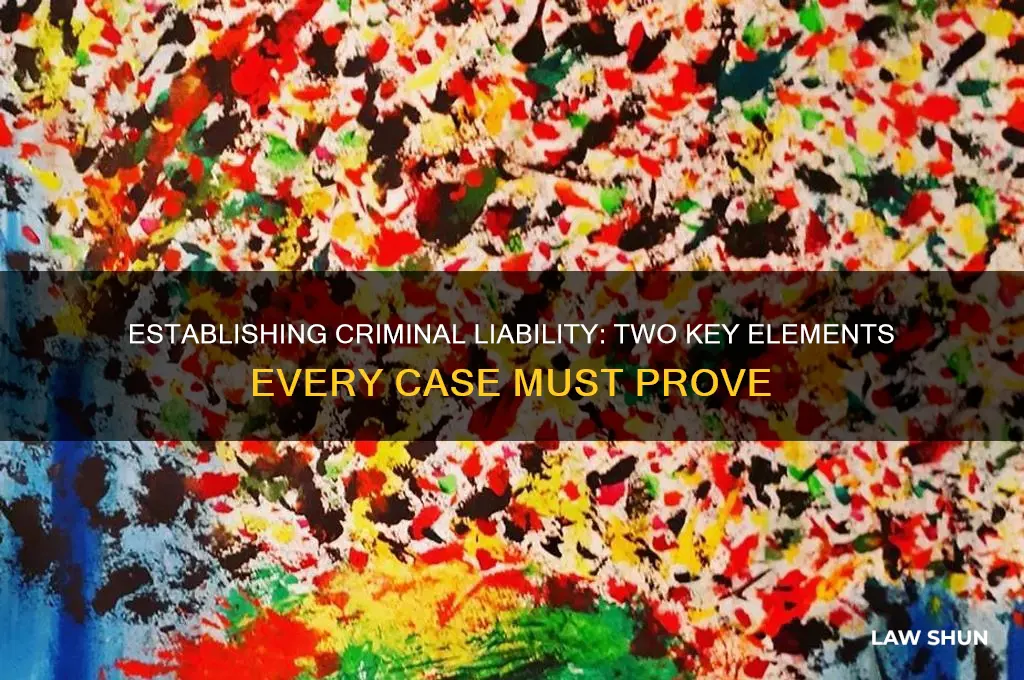 what two things have to be establish for crimnal law