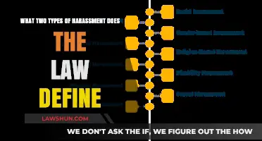 Understanding Legal Definitions: Two Recognized Forms of Harassment Explained