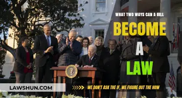 The Path to Enactment: Two Ways to Make Laws