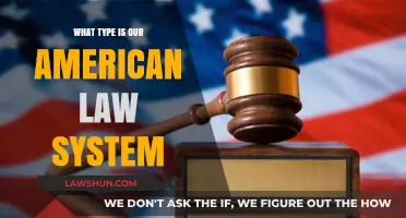 Understanding the Foundations of America's Legal System: A Comprehensive Overview