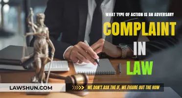 Understanding Adversary Complaints: Legal Actions and Their Implications in Law