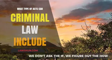 Criminal Law: What Acts Are Included?