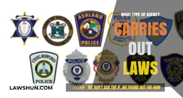 Understanding Law Enforcement: Which Agencies Uphold and Execute Laws?