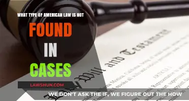 American Laws That Aren't Found in Case Studies