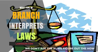 Judicial Branch: The Key Interpreter of Laws in Government Systems