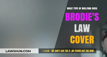 Understanding Brodie's Law: Types of Bullying Covered and Implications