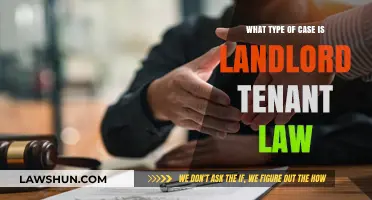 Landlord-Tenant Law: Understanding Your Rights and Responsibilities