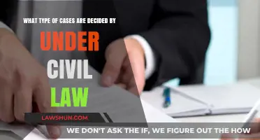 Civil Law Cases: Understanding the Scope