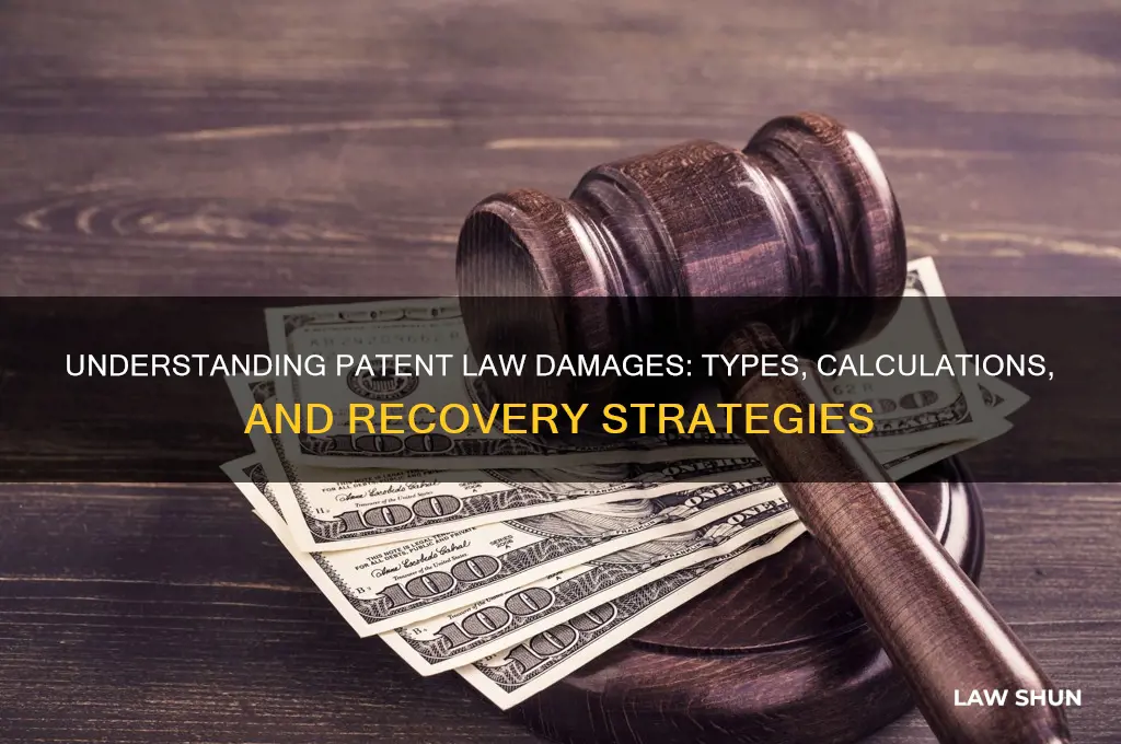 what type of damages for patent law