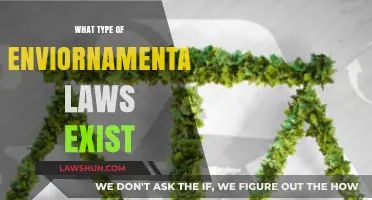 Exploring the Diverse Types of Environmental Laws Worldwide