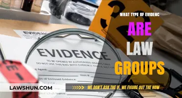 Understanding the Types of Evidence Law Groups Utilize in Legal Cases
