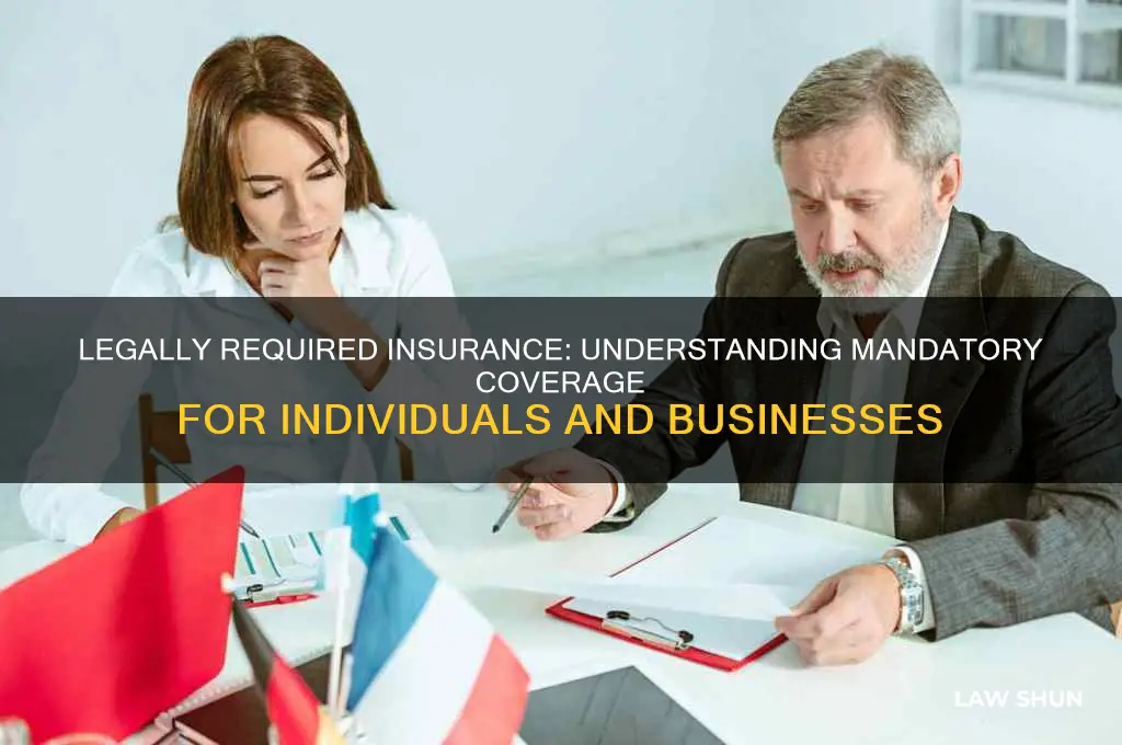 what type of insurance must you have by law
