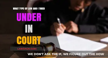 Understanding Your Legal Charges: What Type of Law Applies in Court?