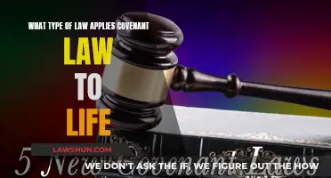 Covenant Law: A Life Guide to Legal Frameworks