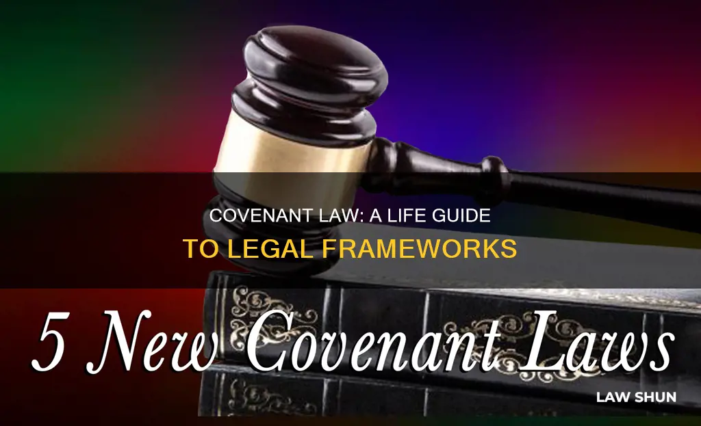 what type of law applies covenant law to life