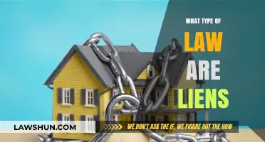 Understanding Liens: A Comprehensive Guide to Lien Law Types