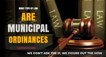 Understanding Municipal Ordinances: Local Laws and Their Legal Framework