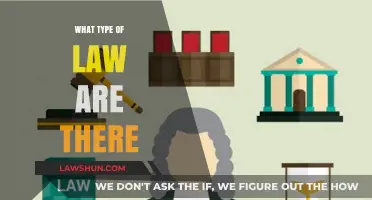 Exploring Diverse Legal Fields: Understanding the Types of Law