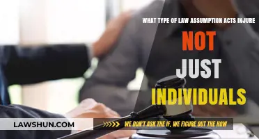 Legal Assumptions: How Missteps Harm Communities, Not Just Individuals