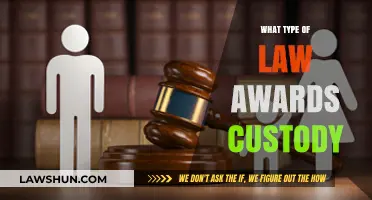 Understanding Family Law: Which Legal Framework Determines Child Custody Awards?