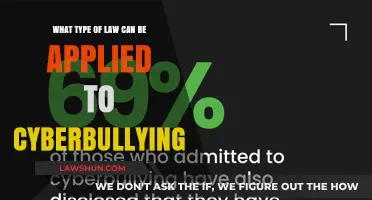 Laws to Combat Cyberbullying