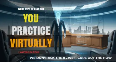 Virtual Law: Exploring Remote Legal Practice Areas