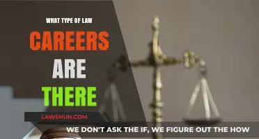 Exploring Diverse Law Careers: Paths, Specializations, and Opportunities