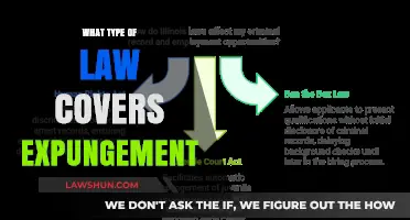 Understanding Expungement: Which Legal Field Handles Record Clearing?
