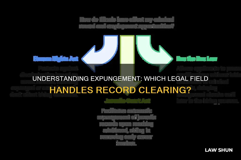 what type of law covers expungement