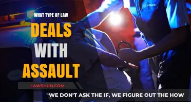 Understanding Assault Law: Key Legal Areas Handling Physical Attacks