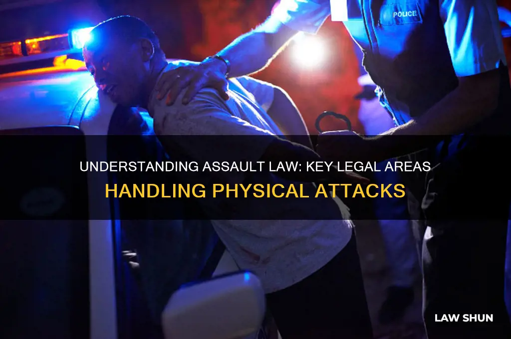 what type of law deals with assault