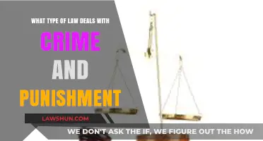 Understanding Criminal Law: Crime, Punishment, and Legal Consequences Explained