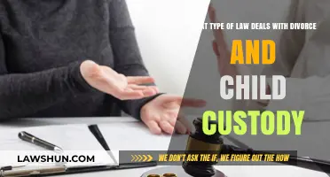 Family Law Explained: Divorce, Child Custody, and Legal Processes