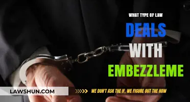 Understanding Embezzlement: The Legal Framework and Criminal Law Involved