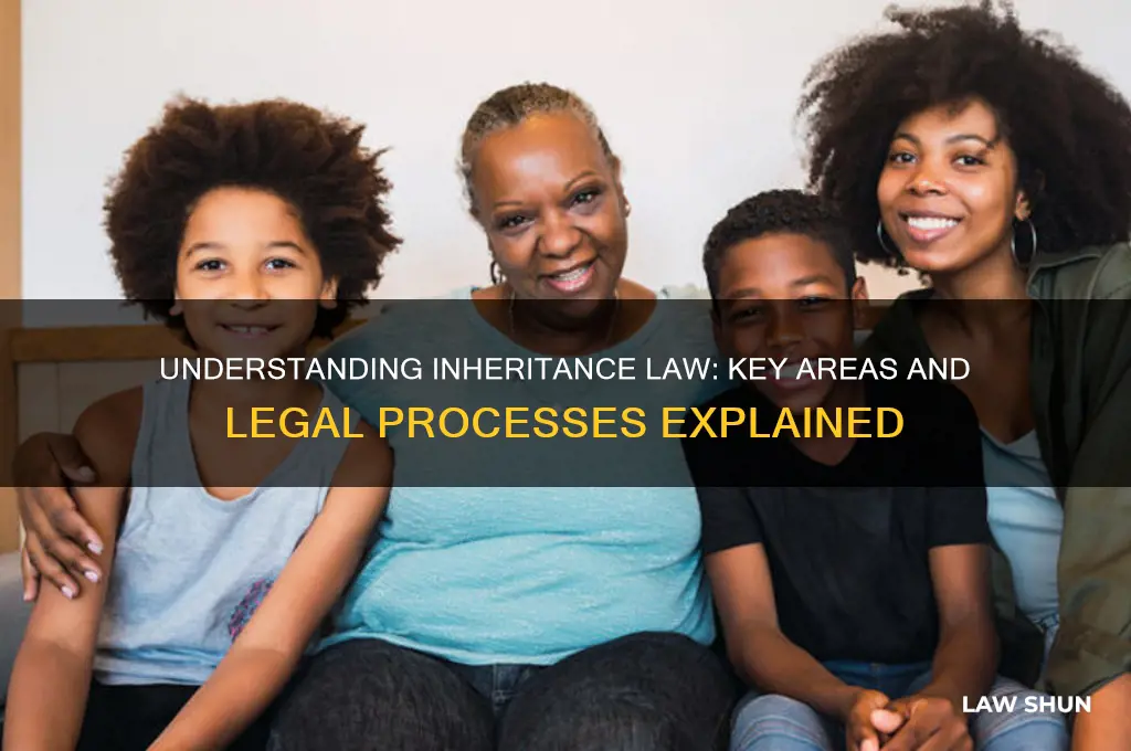 what type of law deals with inheritance